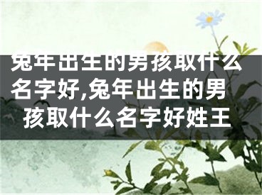 兔年出生的男孩取什么名字好,兔年出生的男孩取什么名字好姓王