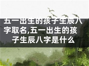 五一出生的孩子生辰八字取名,五一出生的孩子生辰八字是什么