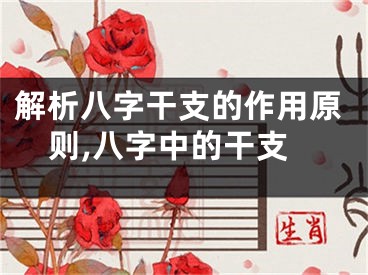 解析八字干支的作用原则,八字中的干支