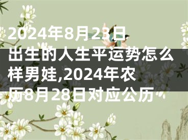 2024年8月23日出生的人生平运势怎么样男娃,2024年农历8月28日对应公历