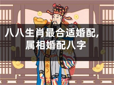八八生肖最合适婚配,属相婚配八字