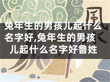 兔年生的男孩儿起什么名字好,兔年生的男孩儿起什么名字好鲁姓
