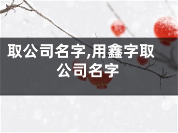 取公司名字,用鑫字取公司名字