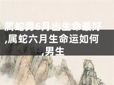 属蛇男6月出生命最好,属蛇六月生命运如何,男生
