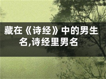 藏在《诗经》中的男生名,诗经里男名