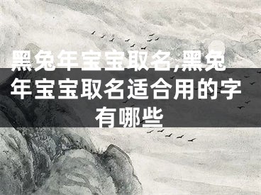 黑兔年宝宝取名,黑兔年宝宝取名适合用的字有哪些
