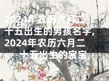2024年农历六月二十五出生的男孩名字,2024年农历六月二十五出生的宝宝