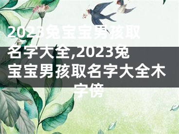 2023兔宝宝男孩取名字大全,2023兔宝宝男孩取名字大全木字傍
