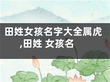 田姓女孩名字大全属虎,田姓 女孩名