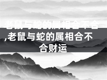 老鼠与蛇的属相合不合,老鼠与蛇的属相合不合财运