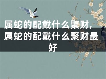 属蛇的配戴什么聚财,属蛇的配戴什么聚财最好