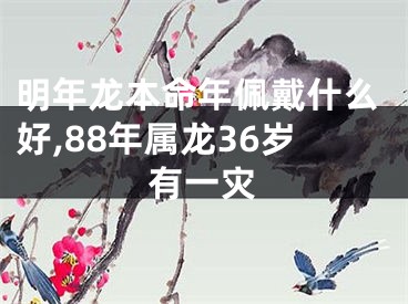 明年龙本命年佩戴什么好,88年属龙36岁有一灾