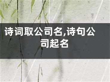 诗词取公司名,诗句公司起名