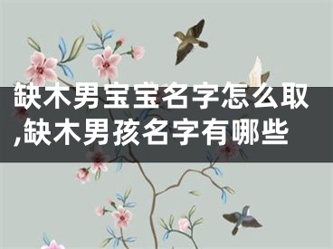 缺木男宝宝名字怎么取,缺木男孩名字有哪些
