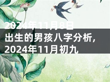 2024年11月8日出生的男孩八字分析,2024年11月初九