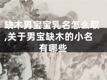缺木男宝宝乳名怎么取,关于男宝缺木的小名有哪些