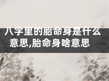 八字里的胎命身是什么意思,胎命身啥意思
