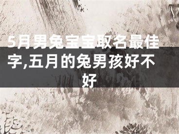 5月男兔宝宝取名最佳字,五月的兔男孩好不好