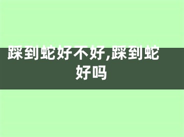 踩到蛇好不好,踩到蛇好吗