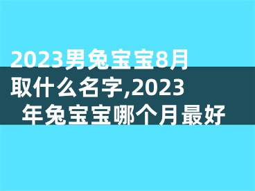 2023男兔宝宝8月取什么名字,2023年兔宝宝哪个月最好