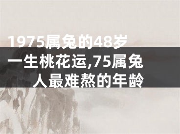 1975属兔的48岁一生桃花运,75属兔人最难熬的年龄