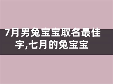 7月男兔宝宝取名最佳字,七月的兔宝宝