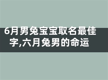 6月男兔宝宝取名最佳字,六月兔男的命运