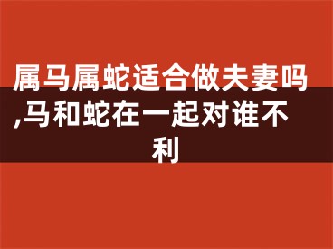 属马属蛇适合做夫妻吗,马和蛇在一起对谁不利