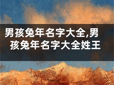 男孩兔年名字大全,男孩兔年名字大全姓王
