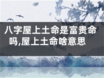 八字屋上土命是富贵命吗,屋上土命啥意思