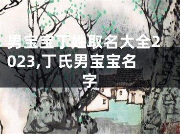 男宝宝丁姓取名大全2023,丁氏男宝宝名字