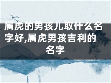 属虎的男孩儿取什么名字好,属虎男孩吉利的名字