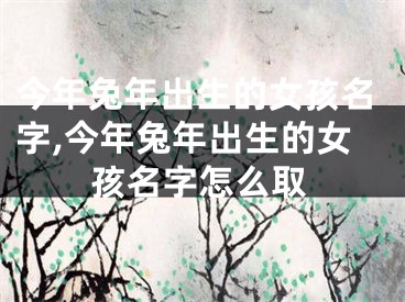 今年兔年出生的女孩名字,今年兔年出生的女孩名字怎么取