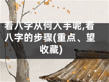 看八字从何入手呢,看八字的步骤(重点、望收藏)