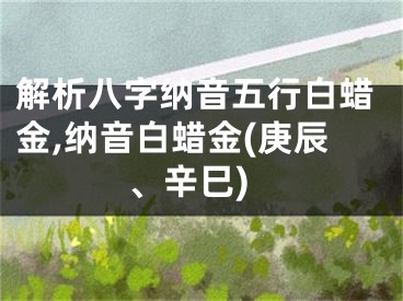 解析八字纳音五行白蜡金,纳音白蜡金(庚辰、辛巳)