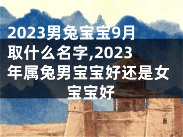 2023男兔宝宝9月取什么名字,2023年属兔男宝宝好还是女宝宝好