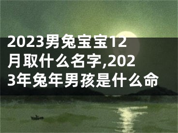 2023男兔宝宝12月取什么名字,2023年兔年男孩是什么命