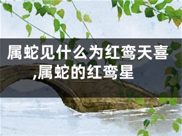 属蛇见什么为红鸾天喜,属蛇的红鸾星