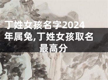 丁姓女孩名字2024年属兔,丁姓女孩取名最高分