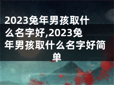 2023兔年男孩取什么名字好,2023兔年男孩取什么名字好简单