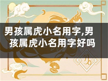 男孩属虎小名用字,男孩属虎小名用字好吗