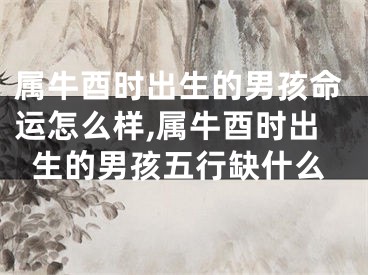 属牛酉时出生的男孩命运怎么样,属牛酉时出生的男孩五行缺什么