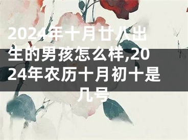 2024年十月廿八出生的男孩怎么样,2024年农历十月初十是几号