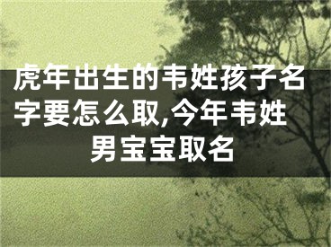 虎年出生的韦姓孩子名字要怎么取,今年韦姓男宝宝取名