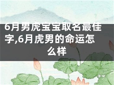6月男虎宝宝取名最佳字,6月虎男的命运怎么样