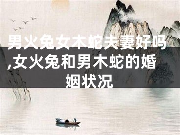 男火兔女木蛇夫妻好吗,女火兔和男木蛇的婚姻状况
