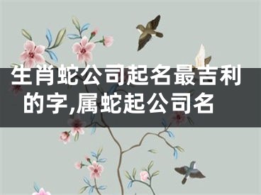 生肖蛇公司起名最吉利的字,属蛇起公司名