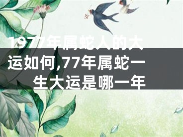 1977年属蛇人的大运如何,77年属蛇一生大运是哪一年