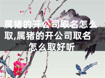 属猪的开公司取名怎么取,属猪的开公司取名怎么取好听