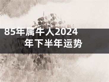 85年属牛人2024年下半年运势